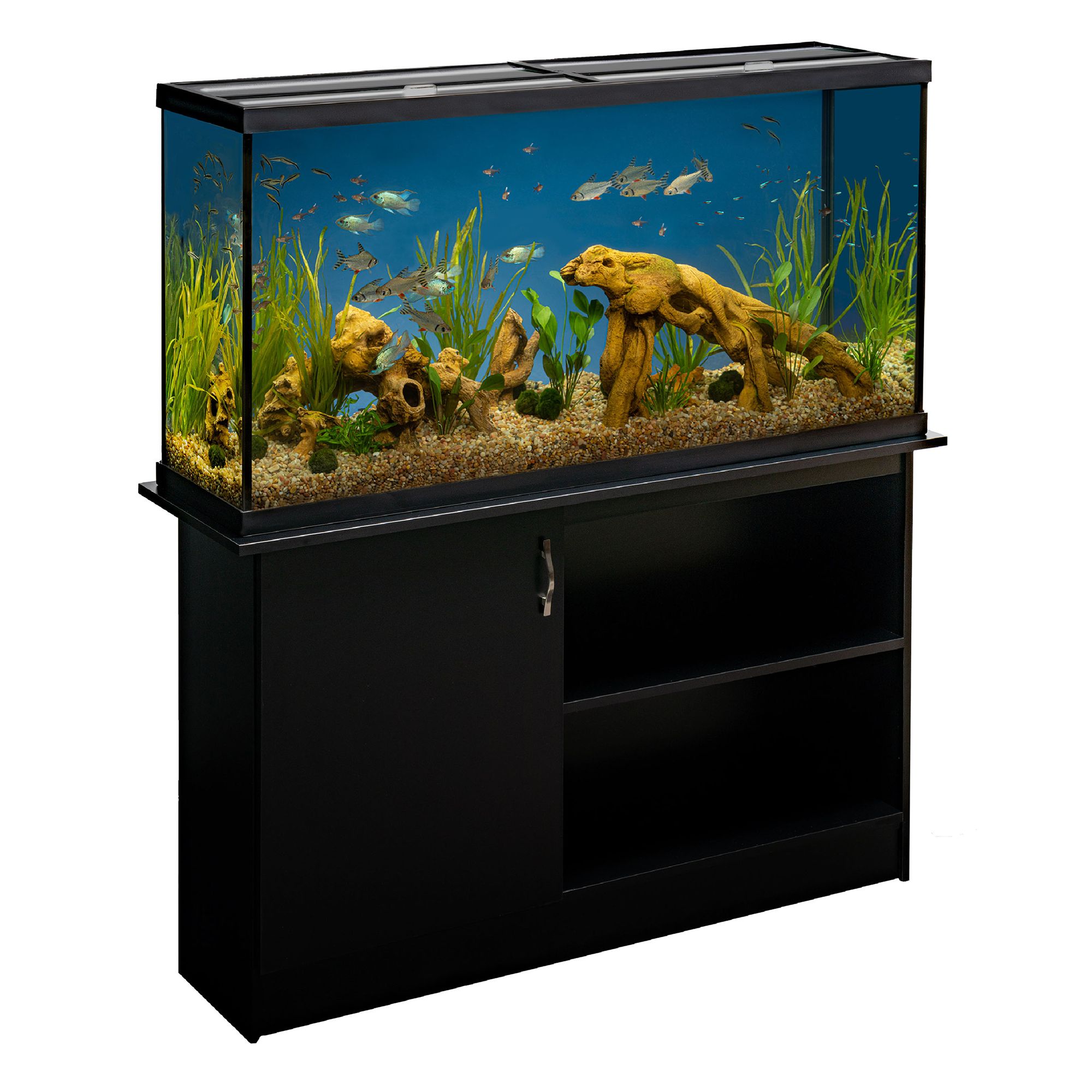 Fish Tank Supplies & Stands | PetSmart