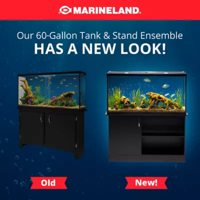 Petsmart 65 gallon aquarium best sale