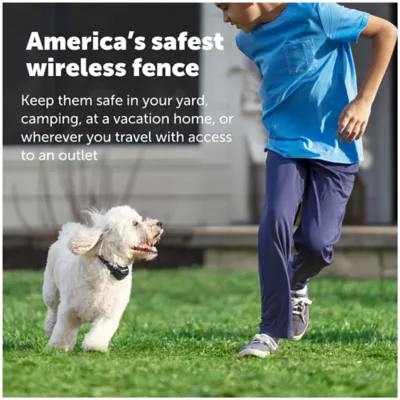 Product PetSafe® Stay & Play Wireless Pet Fence & Replaceable Battery Collar -  Up to 3/4 Acre