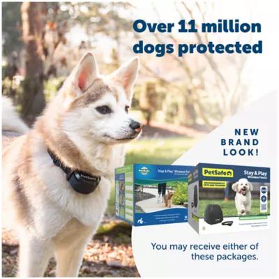 Product PetSafe® Stay & Play Wireless Pet Fence & Replaceable Battery Collar -  Up to 3/4 Acre