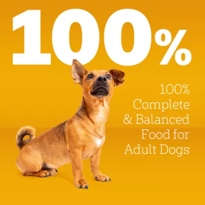 Product Pedigree® Growth & Protection Puppy Dry Dog Food - Healthy Development, Chicken & Vegetables