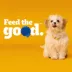 Pedigree® Growth & Protection Puppy Dry Dog Food - Healthy Development, Chicken & Vegetables image thumbnail 5