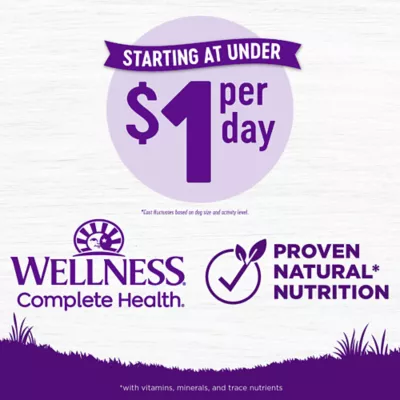 Product Wellness® Complete Health Adult Dry Dog Food - Natural, Grain Free, Chicken & Chicken Meal