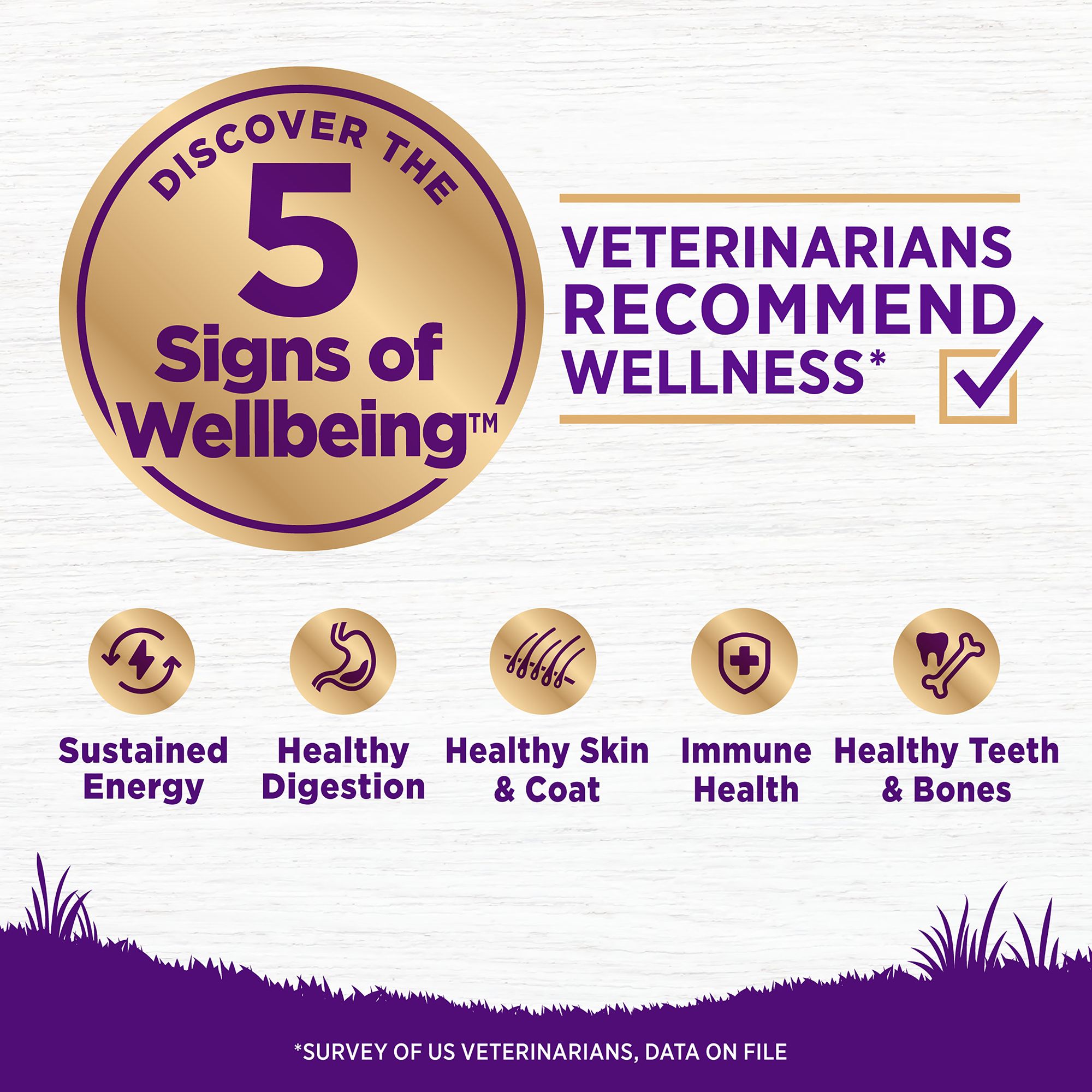 wellness lamb dog food