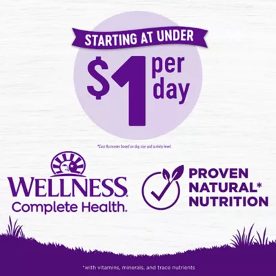 Product Wellness® Complete Health Adult Dry Dog Food - Natural, Grain Free, Lamb & Lamb Meal