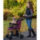 Product Pet Gear Happy Trails Lite NO-ZIP Pet Stroller