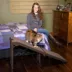 Pet Gear Extra-Wide Free-Standing Carpet Pet Ramp image thumbnail 3