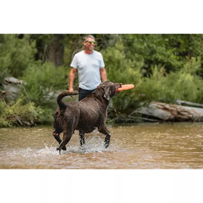 Product Chuckit!® Rugged Flyer Dog Toy