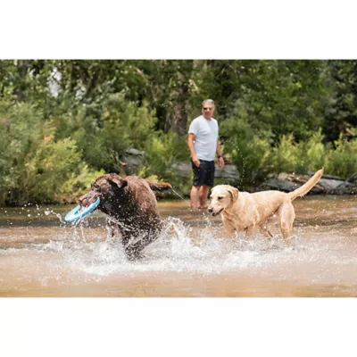 Product Chuckit!® Rugged Flyer Dog Toy