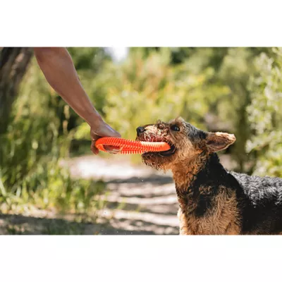 Product Chuckit!® Rugged Flyer Dog Toy