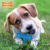 Nylabone® Puppy X Bone Dog Toy image thumbnail 2