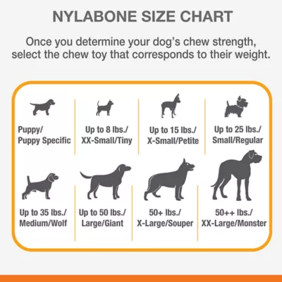 Product Nylabone® Puppy X Bone Dog Toy