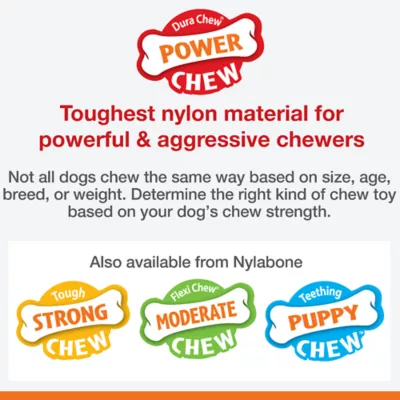 Product Nylabone® Flavor Frenzy Triple Pack Dog Toy