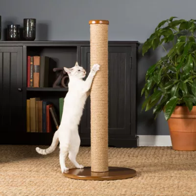 Product Prevue Pet Kitty Power Paws Round Cat Scratcher