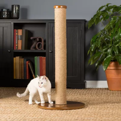 Product Prevue Pet Kitty Power Paws Round Cat Scratcher