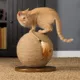 Product Prevue Pet Kitty Power Paws Sphere Cat Scratcher