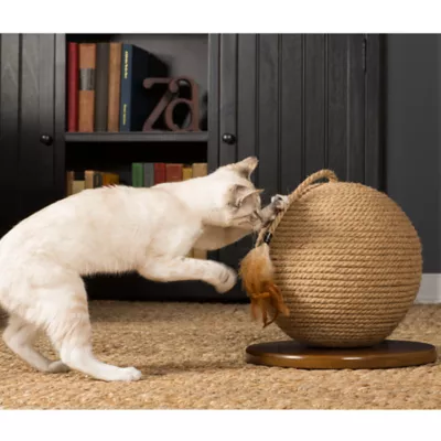 Product Prevue Pet Kitty Power Paws Sphere Cat Scratcher