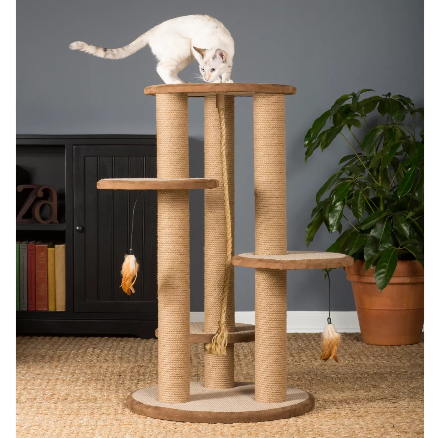 Prevue cat tower best sale