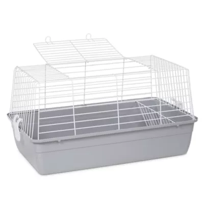 Product Prevue Pet Products Carina Small Pet Habitat