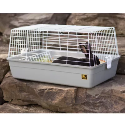 Product Prevue Pet Products Bella Small Pet Habitat