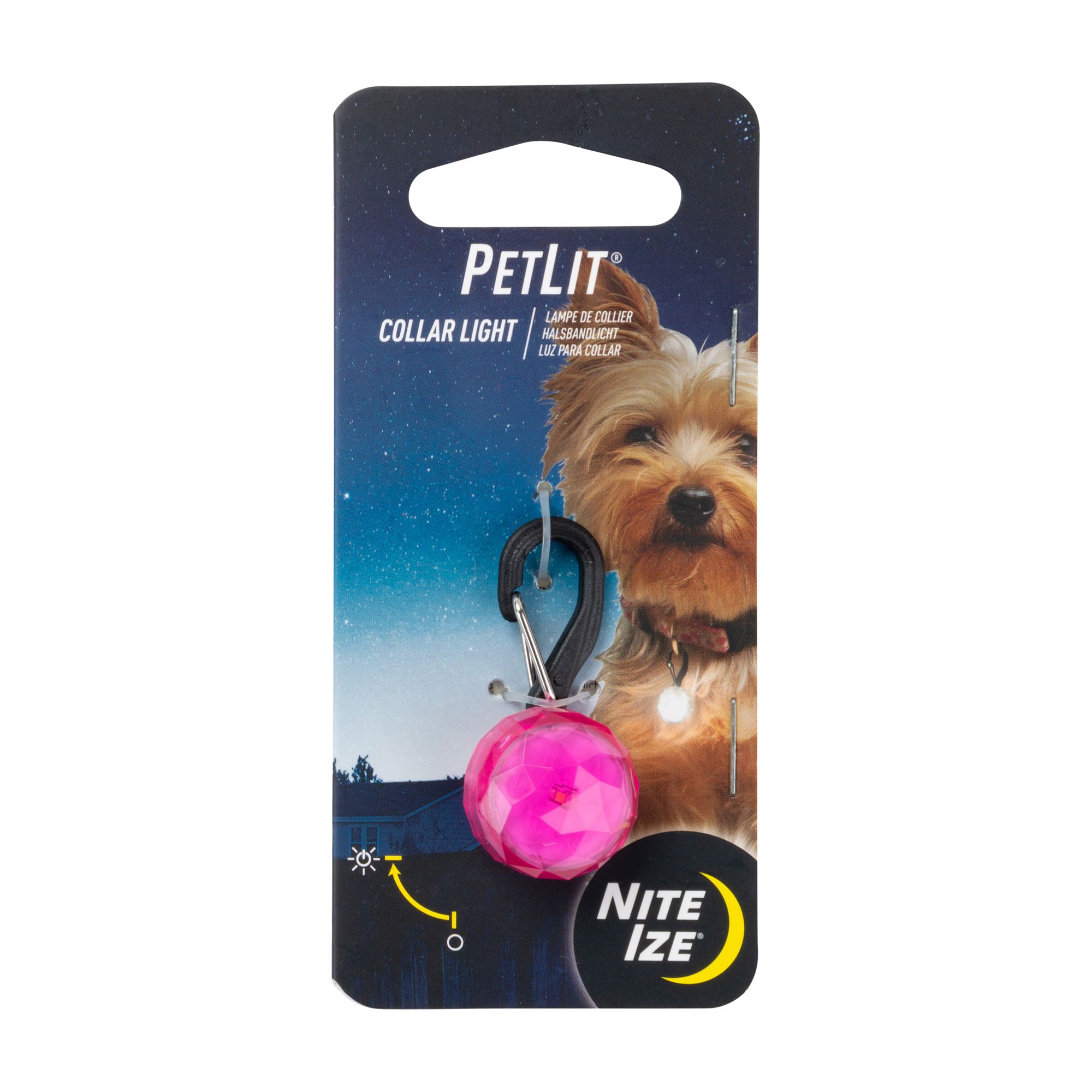 petsmart, Other, Custom Dog Tags