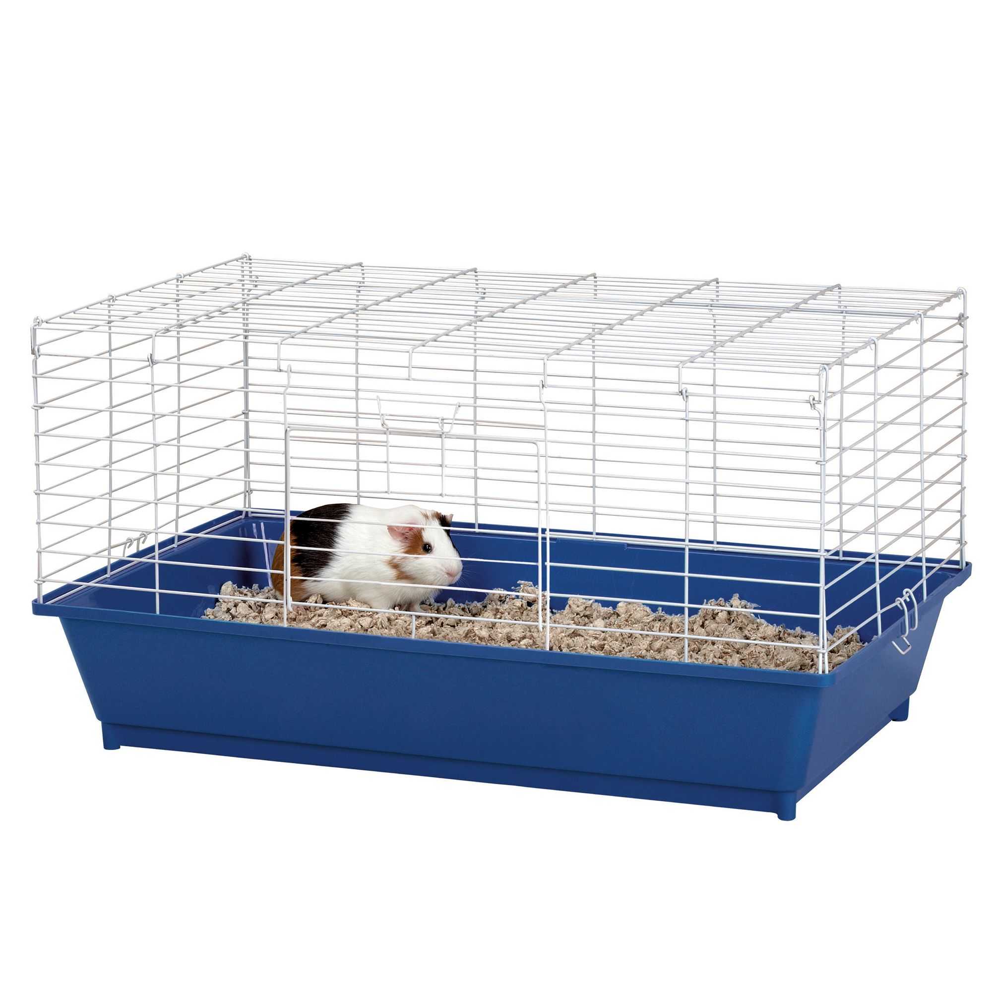 Petsmart guinea pig on sale supplies