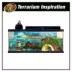 Zoo Med ReptiHabitat Aquatic Turtle Kit, 20 Gallon image thumbnail 5