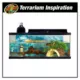 Product Zoo Med ReptiHabitat Aquatic Turtle Kit, 20 Gallon