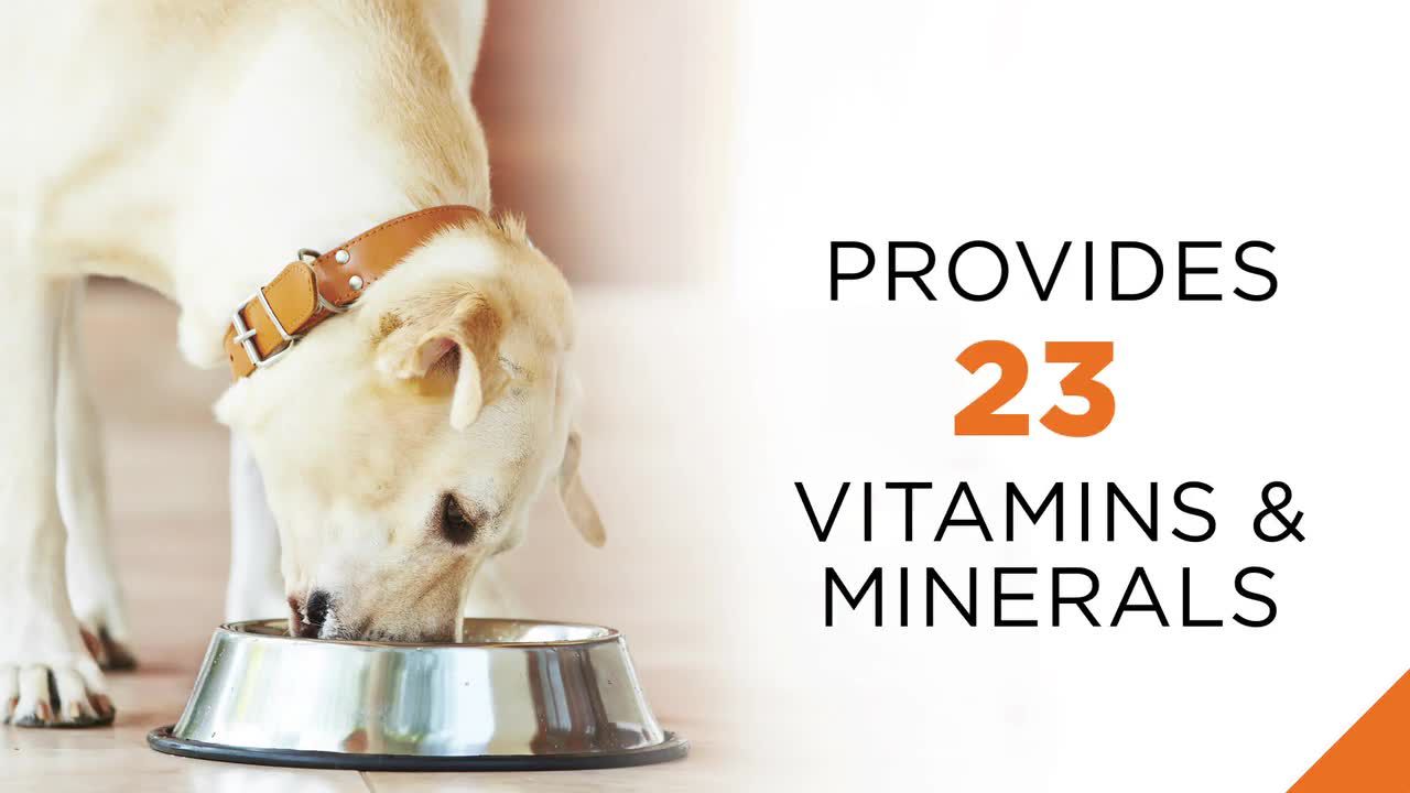 petsmart slicker brush