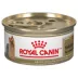 Royal Canin Breed Health Nutrition Yorkshire Terrier Adult Loaf in Sauce Wet Dog Food, 3 oz. image thumbnail 1
