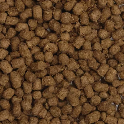 Product Fluval Bug Bites Goldfish Food