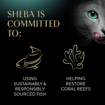 Product Sheba® Perfect Portions Adult Wet Cat Food - Cuts in Gravy, 2.65 Oz