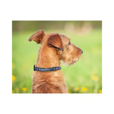 Product Milwaukee Brewers MLB Dog Collar