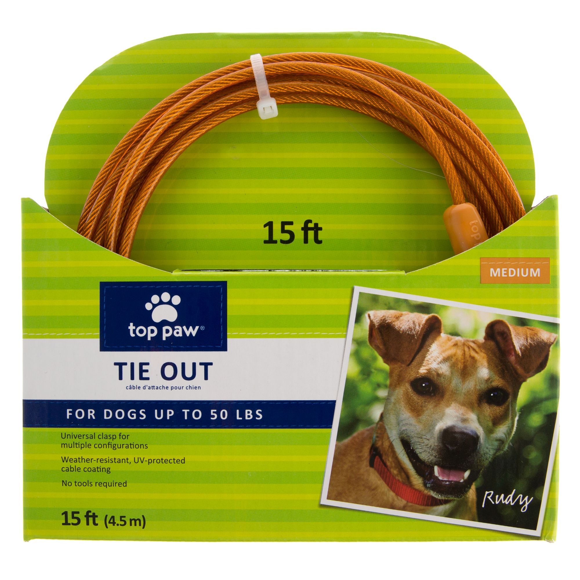 Tie out dog clearance collar