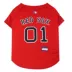 Boston Red Sox MLB Jersey image thumbnail 1