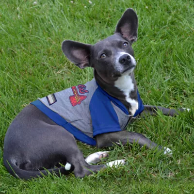 Atlanta Braves MLB Hoodie Tee - Image 3