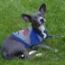Atlanta Braves MLB Hoodie Tee image thumbnail 3