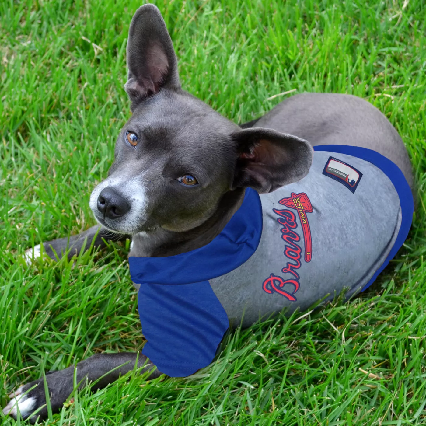 Atlanta Braves MLB Hoodie Tee