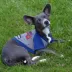 Atlanta Braves MLB Hoodie Tee image thumbnail 3