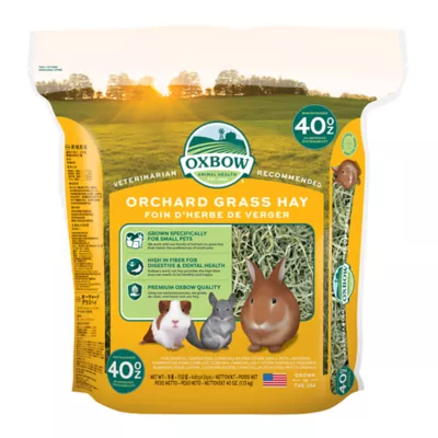 Oxbow Orchard Grass Hay 40 oz