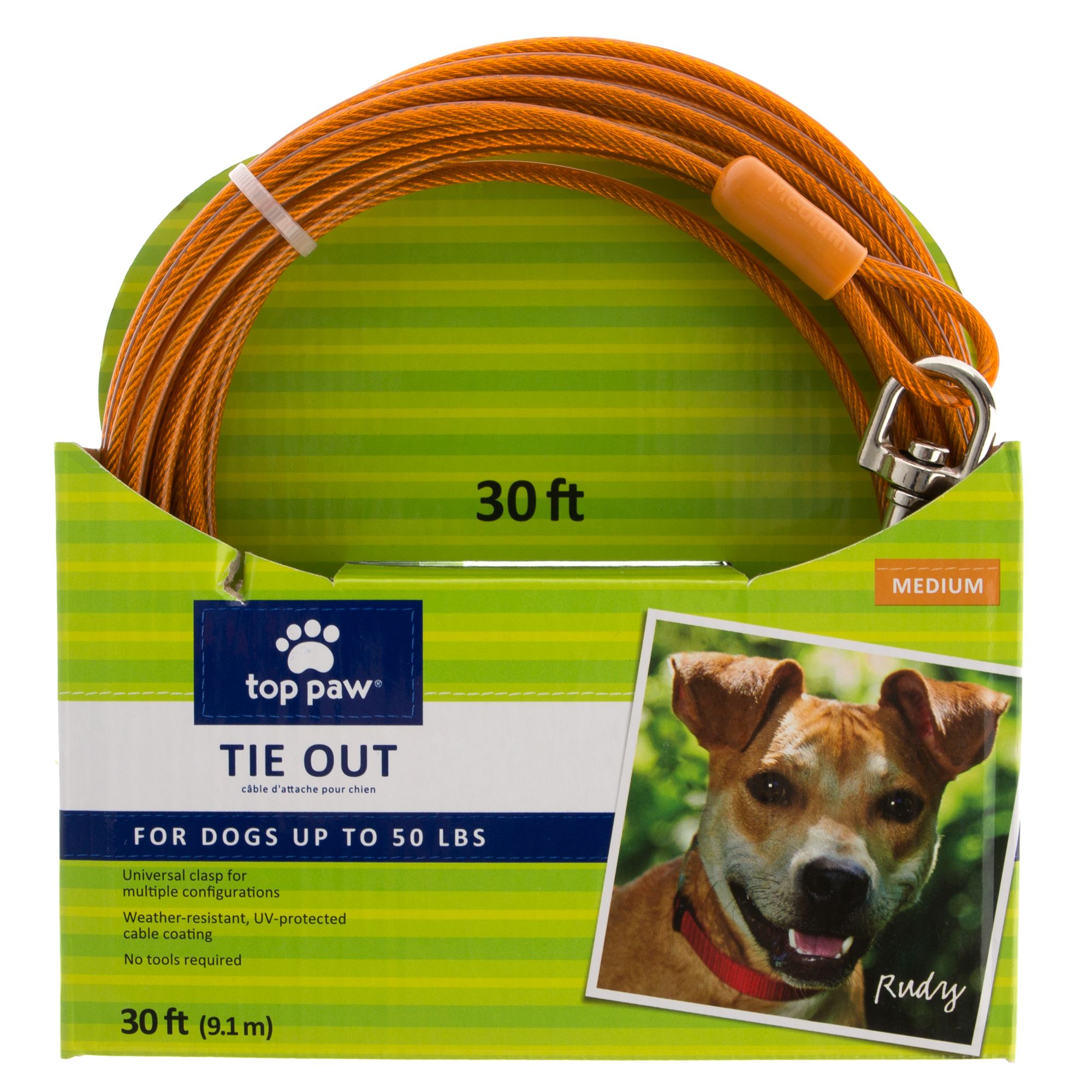 30 ft dog tie out