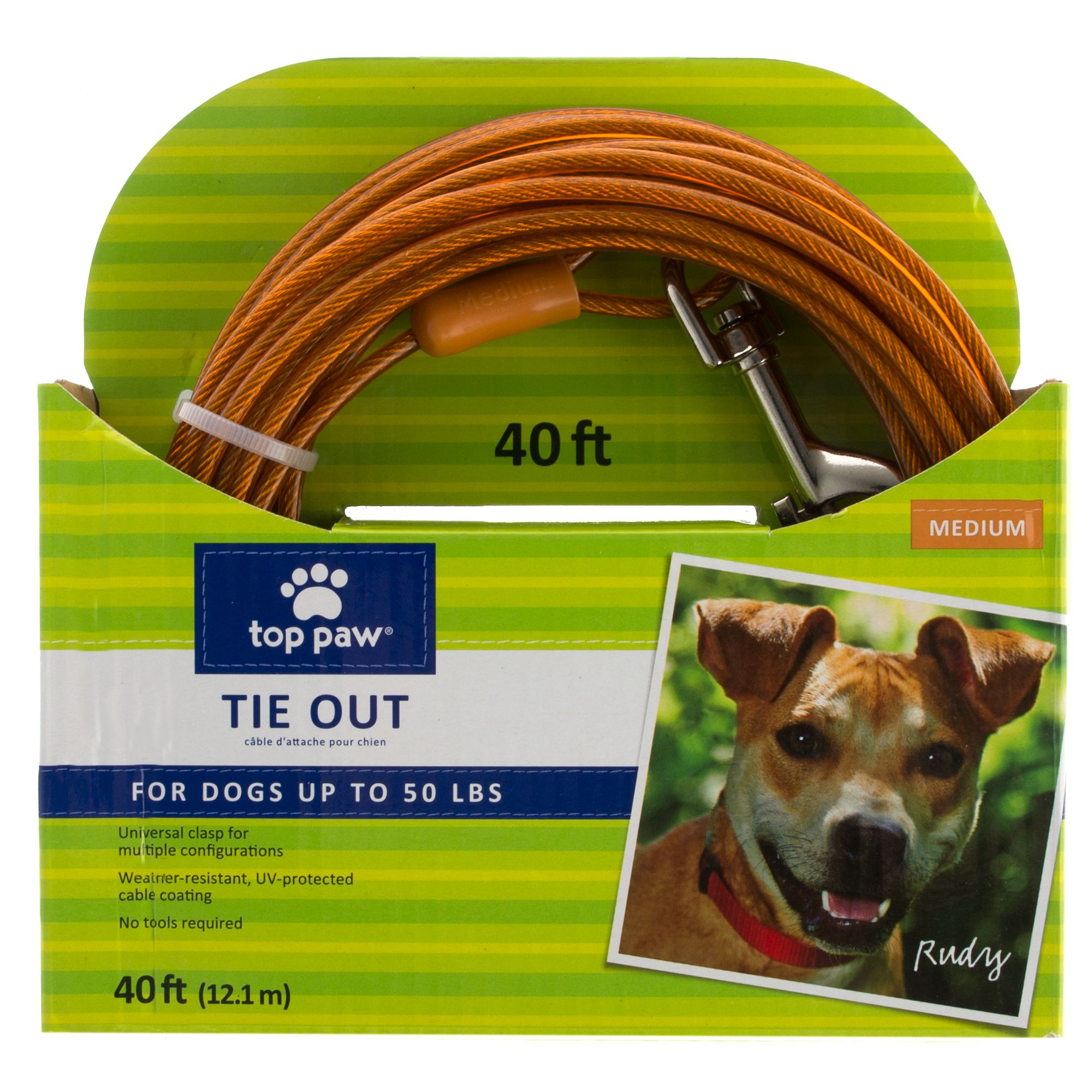 Tie out hot sale collar