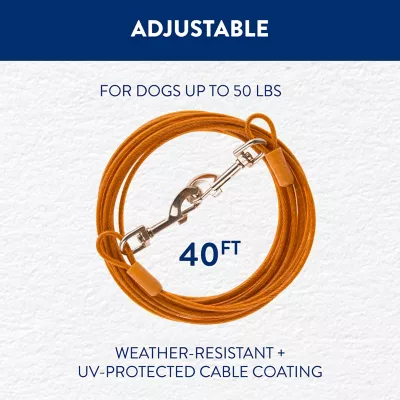 Product Top Paw® Dog Tie Out