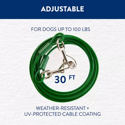 Product Top Paw® Dog Tie Out