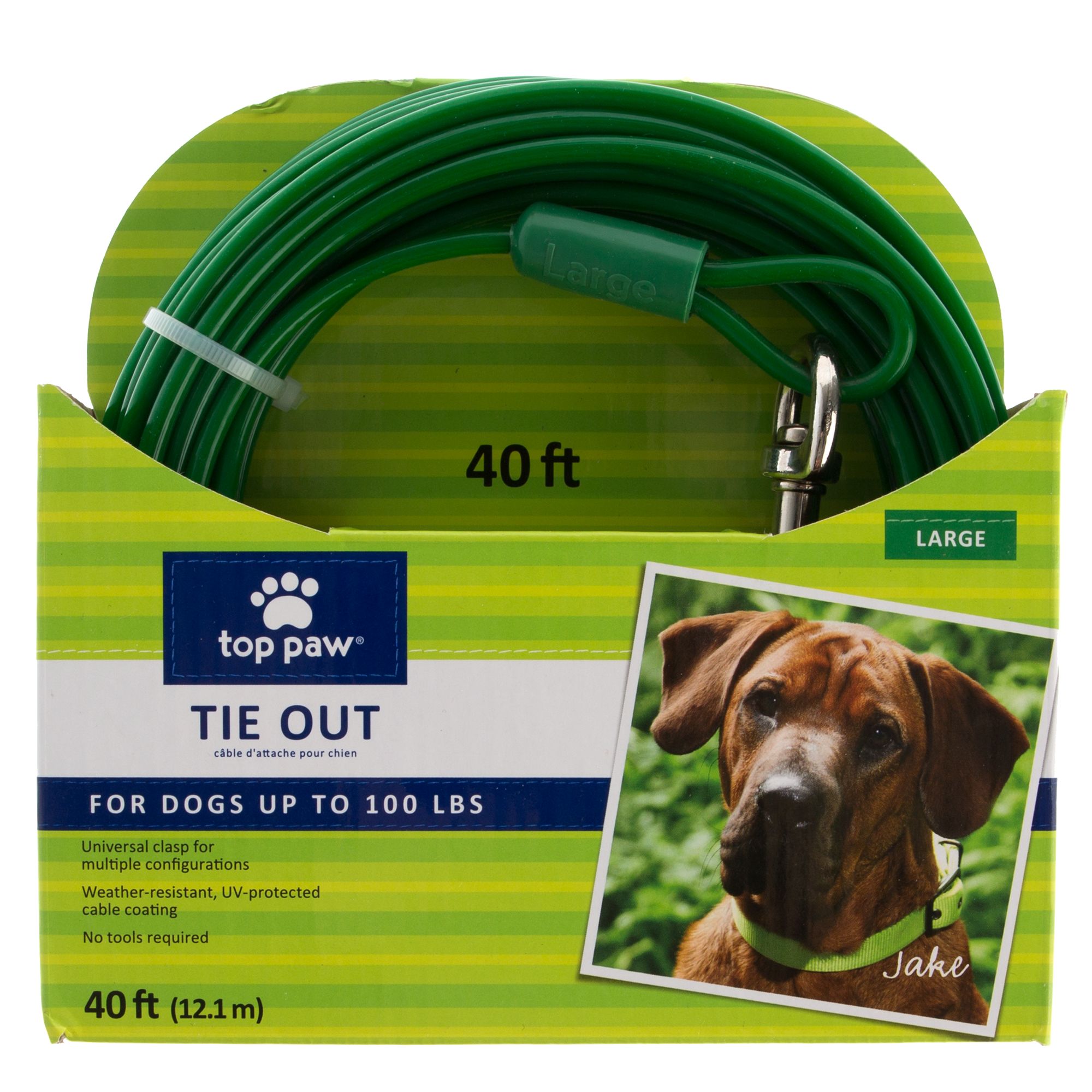 40 ft dog tie out