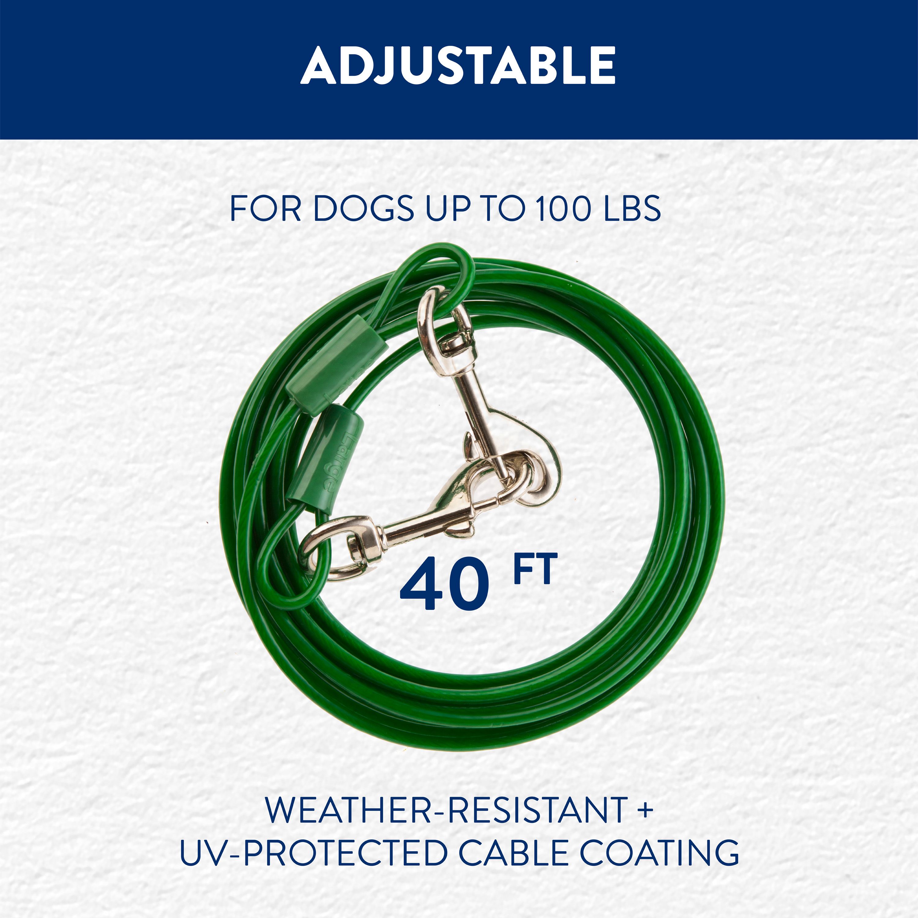 Top Paw Dog Tie Out