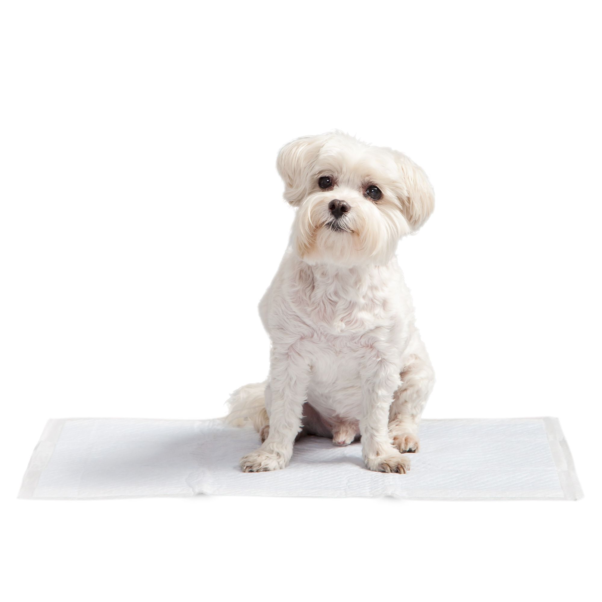 petsmart pooper scooper