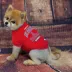 Los Angeles Angels MLB Team Tee image thumbnail 2