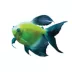GloFish® Electric Green® Longfin Tetra image thumbnail 1