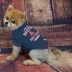 Boston Red Sox MLB Team Tee image thumbnail 2